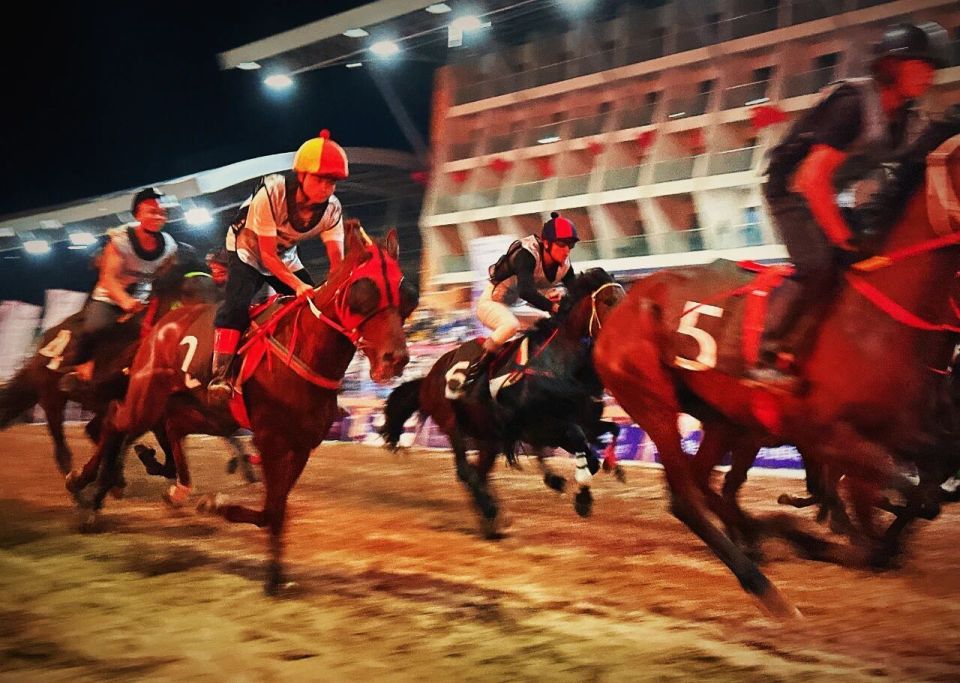 fje, 起舞 fje, 起舞