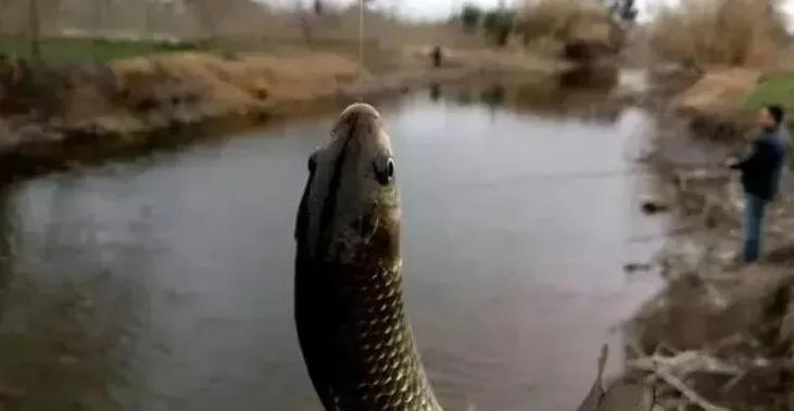 找到那个, 你迅速提竿, 水面鱼就脱 找到那个, 你迅速提竿, 水面鱼就脱