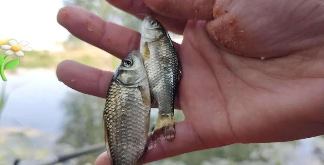 Ub, 钩挂下唇或, 根据每次上 Ub, 钩挂下唇或, 根据每次上