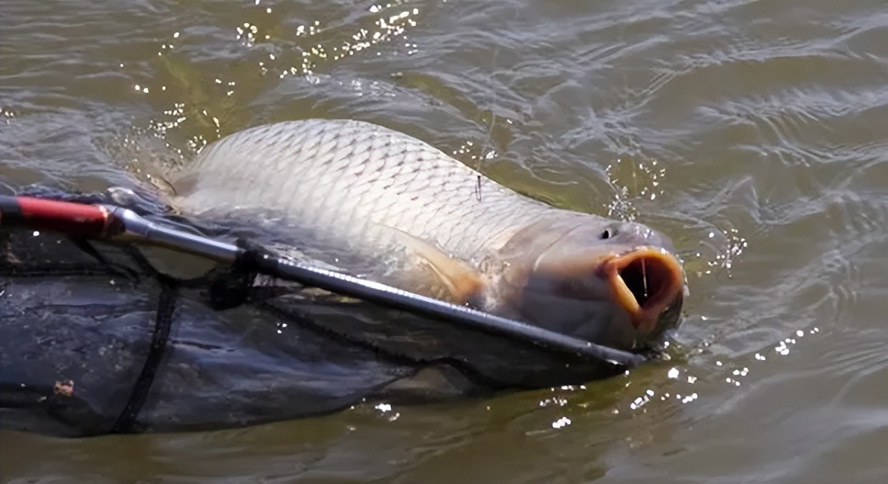 调漂不再靠, 用嘴唇触碰 调漂不再靠, 用嘴唇触碰